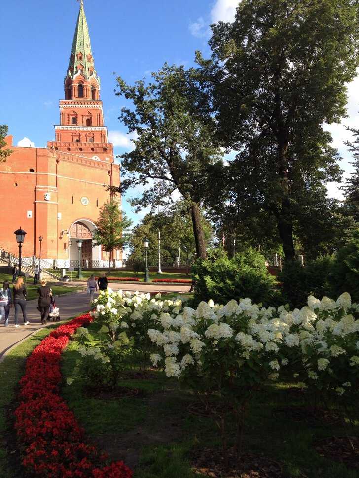 Александровский сад в москве | вечный огонь, фонтаны, как добраться