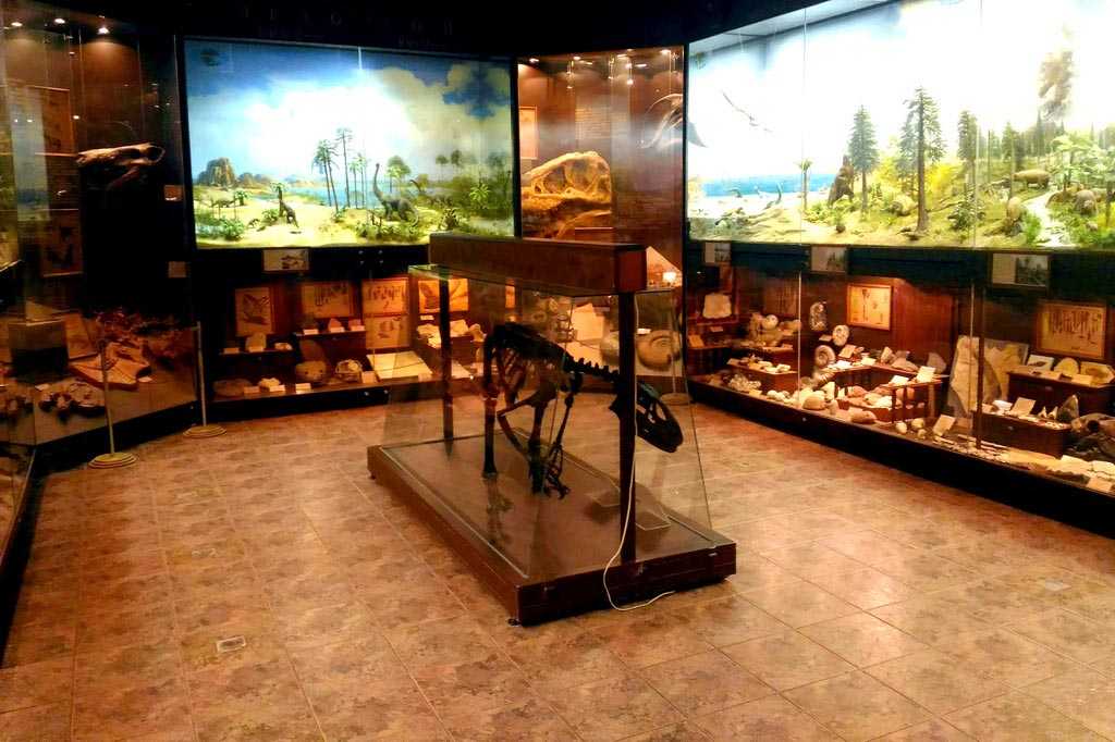 Биологический музей имени к.а. тимирязева – один из лучших естественнонаучных музеев страны