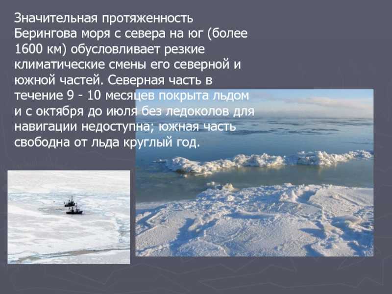 Самое глубокое море в россии - берингово море: фото и описание