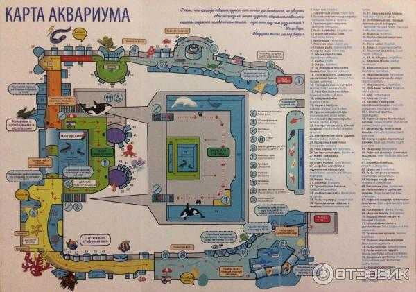 Океанариум: режим работы и стоимость билетов 2021, аудиогид, сайт, как добраться | санкт-петербург центр