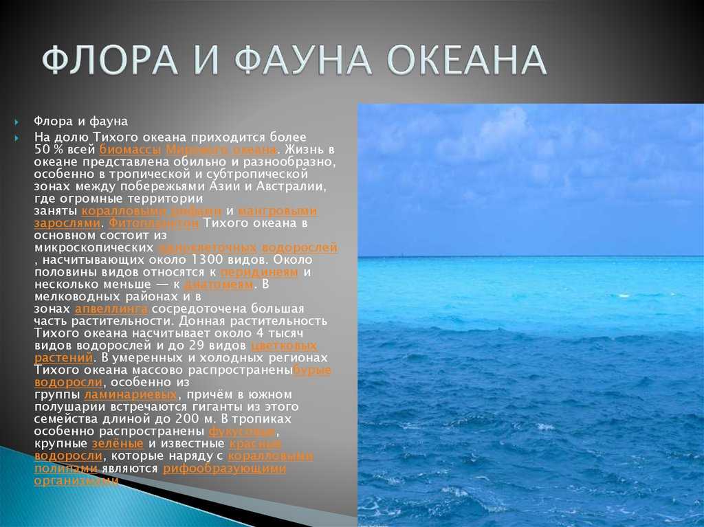 Презентация на тему "чукотское море" 8 класс