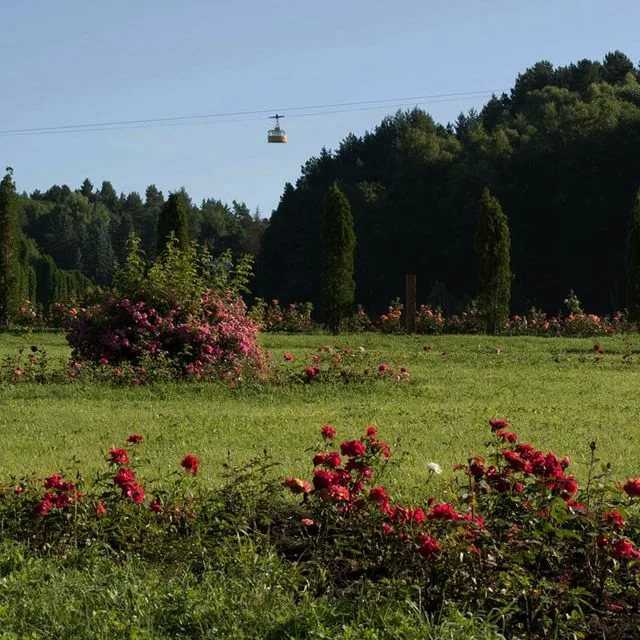 Долина роз в кисловодске: описание, фото :: syl.ru