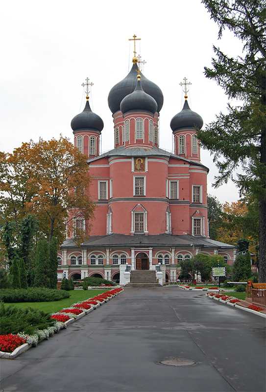 Донской монастырь: история, описание, фото