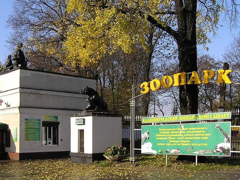 Калининградский зоопарк — официальный сайт | зоопарк в калининграде
