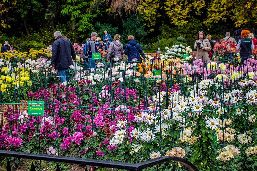 Никитский ботанический сад - красивейшее место на юбк