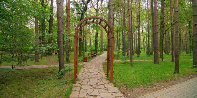 Самые лучшие парки москвы где можно погулять в выходные