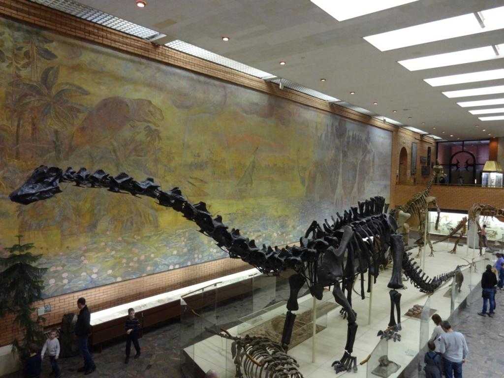 Палеонтологический музей им. ю.а. орлова ран