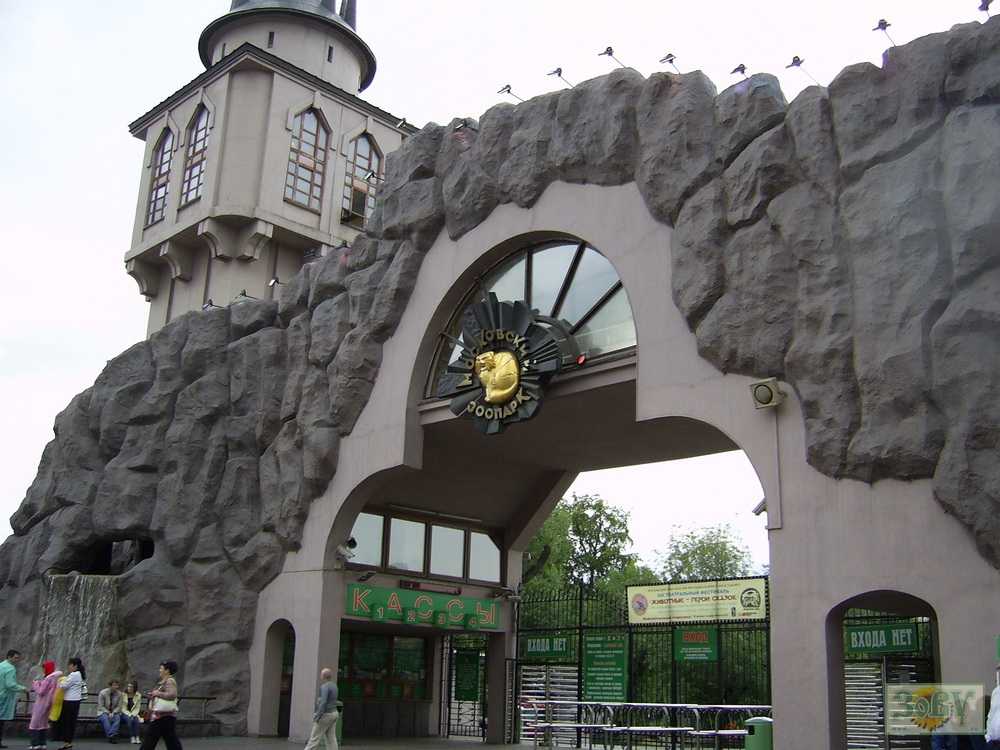 Фото московского зоопарка (183 фото)