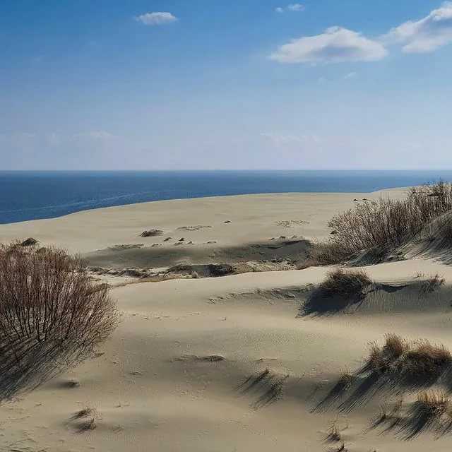 Вселенная дюны | хроники дюны вики | fandom