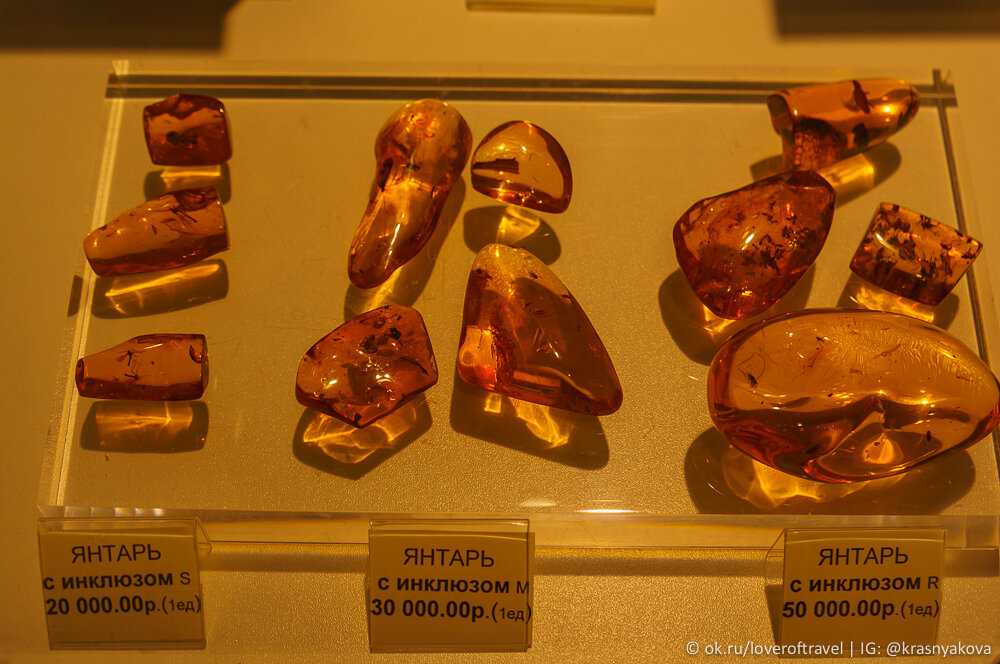 Музей янтаря в калининграде: единственный в своём роде