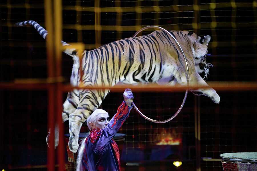 Знаменитый московский цирк на вернадского, как добираться к нему на общественном транспорте, например на метро