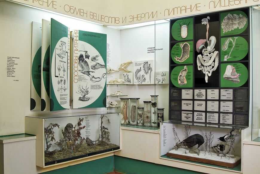 Биологический музей имени к.а.тимирязева (московская область - россия)