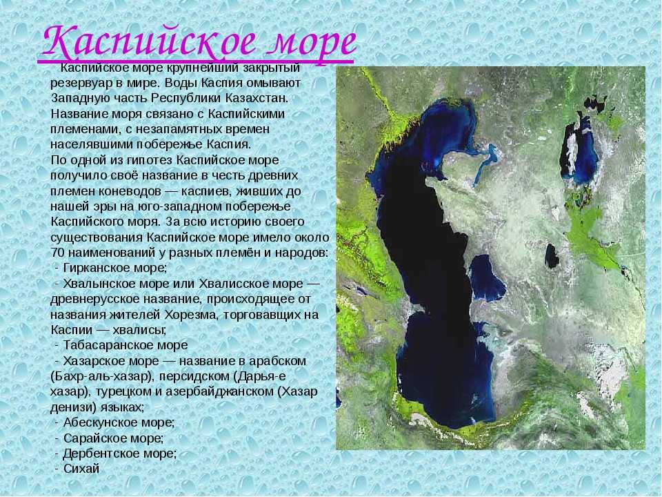 Каспийское море 🌟 полезная информация