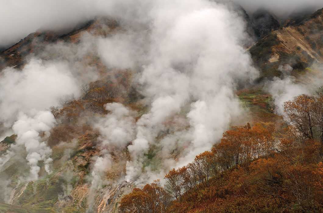 Долина гейзеров на камчатке – уникальный уголок дикой природы