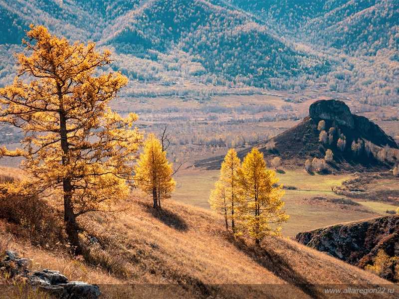 Горы кемеровской области: природа, геология, климат и гидрография – по-сибири