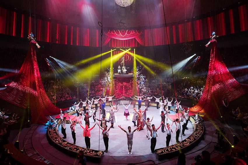 Топ-5 самых популярных цирков москвы