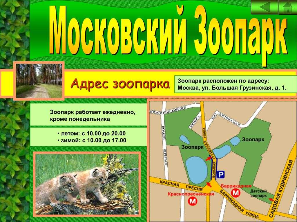 Московский зоопарк — цены на билеты 2021, режим работы, как добраться