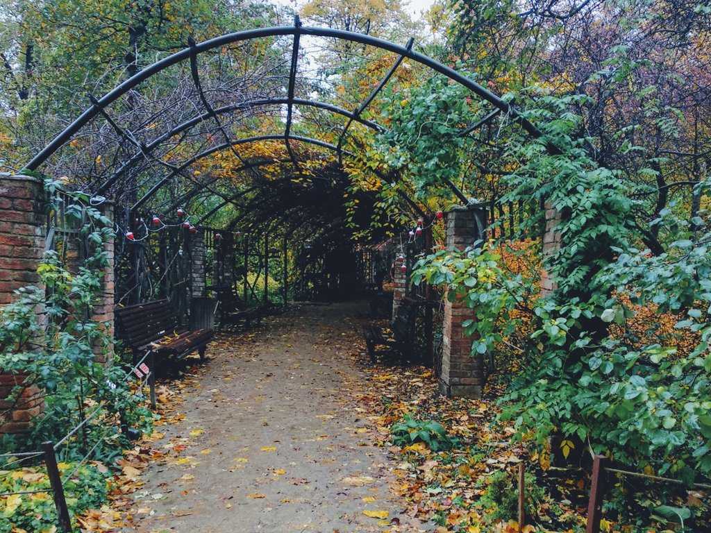 Аптекарский огород ботанического сада мгу на проспекте мира. как доехать, часы работы, фото