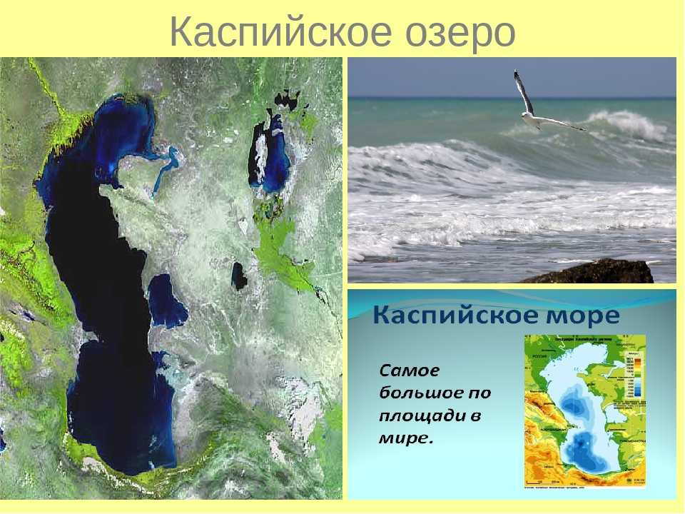 Каспийское море находится под угрозой исчезновения