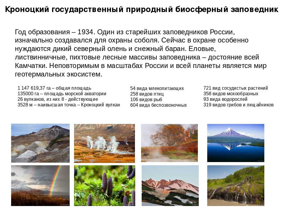 Кроноцкое озеро, камчатка. где находится на карте, происхождение, фото, видео, как добраться на туристер.ру