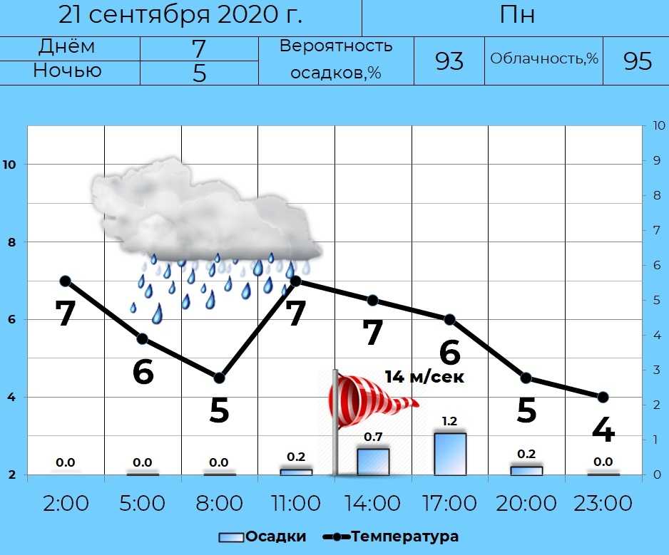 Почасовой прогноз погоды в курске (курская область, го курск)