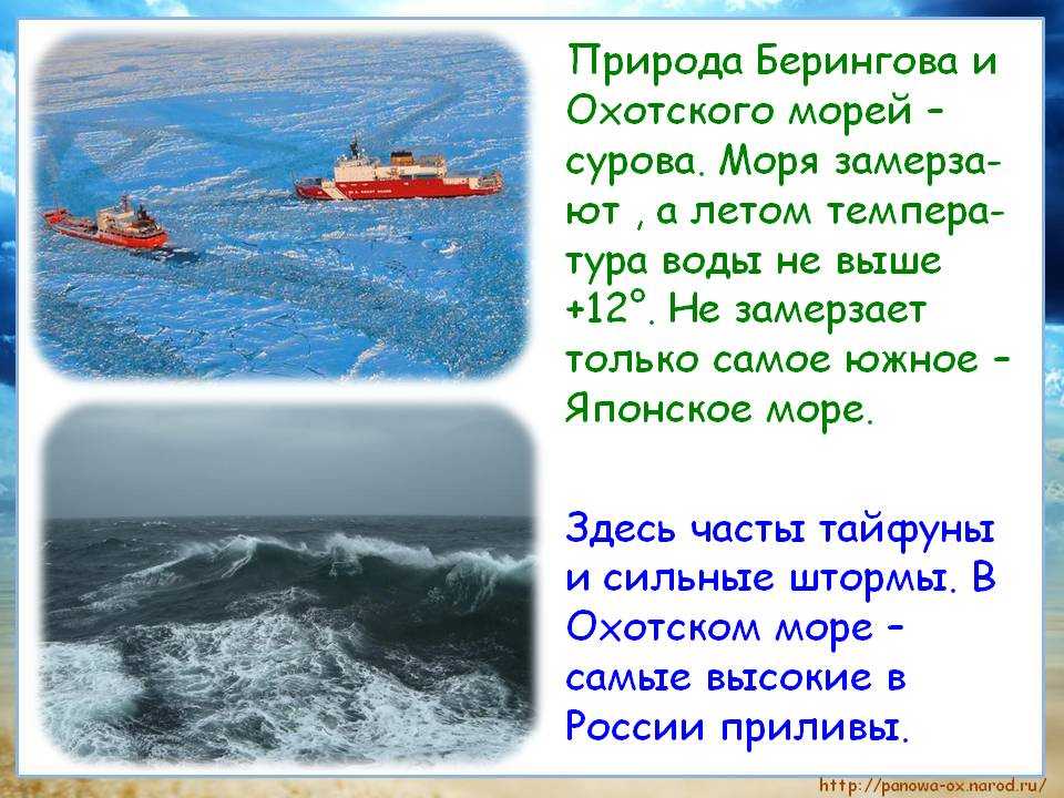 Берингово море: географическое положение, описание :: syl.ru