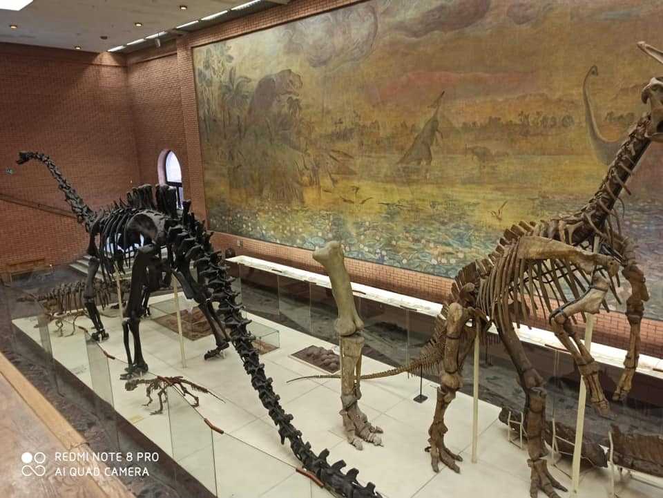 Палеонтологический музей им. ю.а.орлова