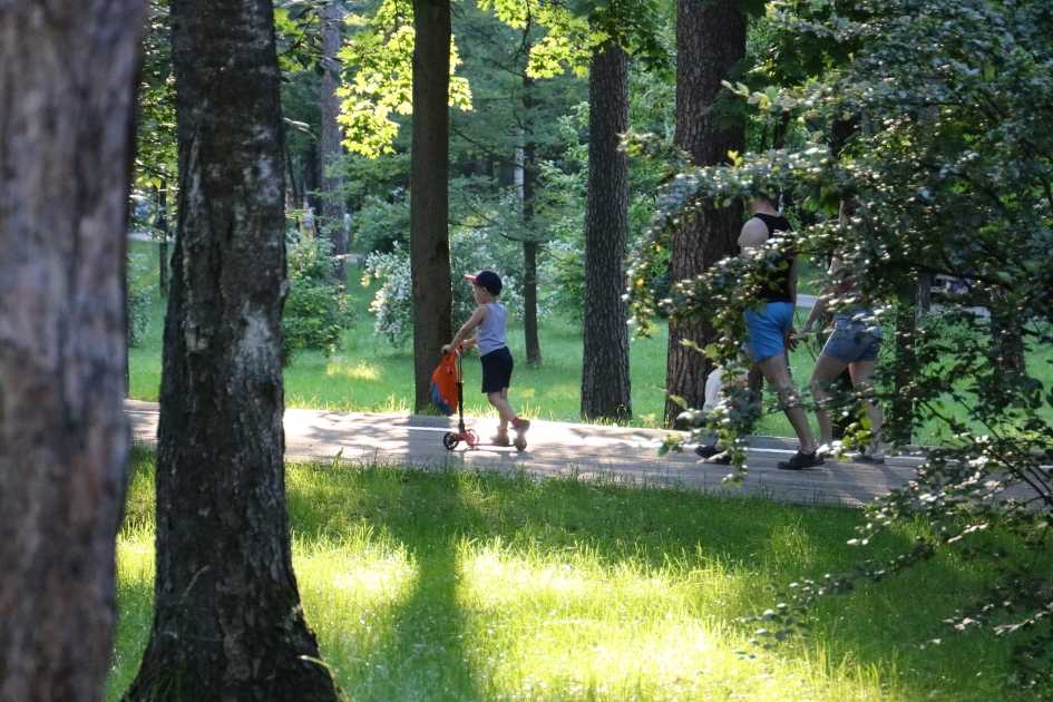 Сады и парки москвы, список развлекательных и природных парков москвы