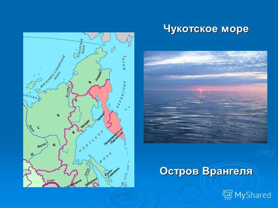 Презентация на тему "чукотское море" по географии для 8 класса