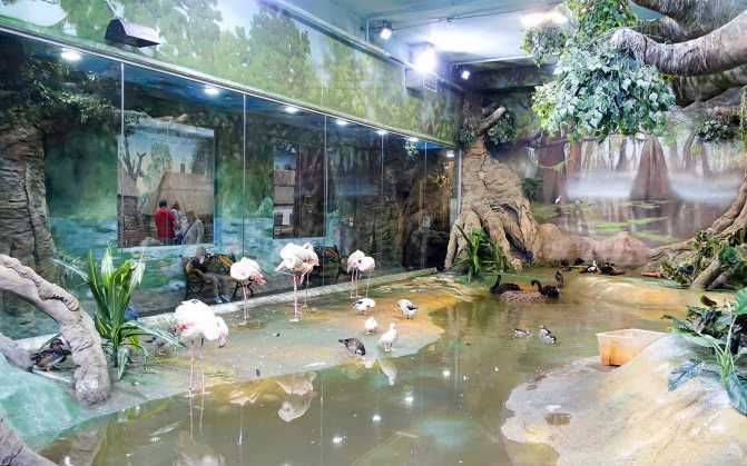 Московский зоопарк - один и самых старых зоопарков европы