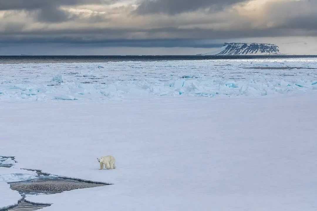 Природно-климатические условия заповедника «большой арктический»