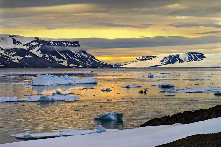 Большой арктический заповедник: где находится и что охраняет