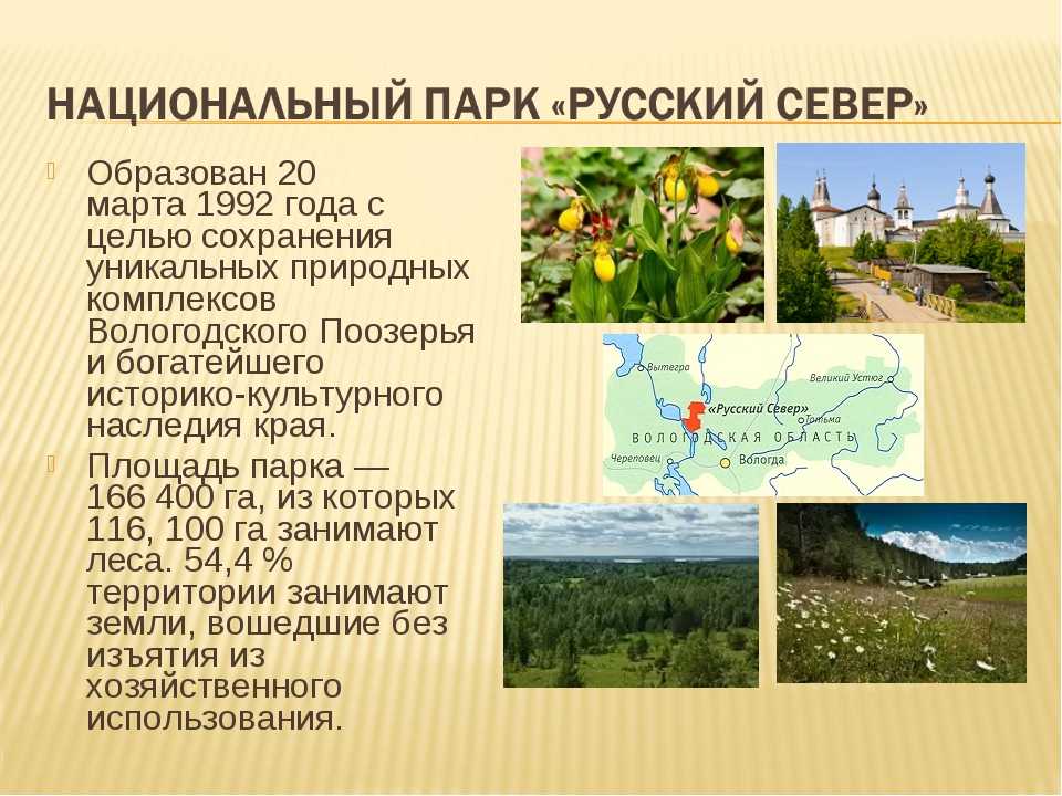 Заповедники и национальные парки россии проект для 4 класса по окружающему миру