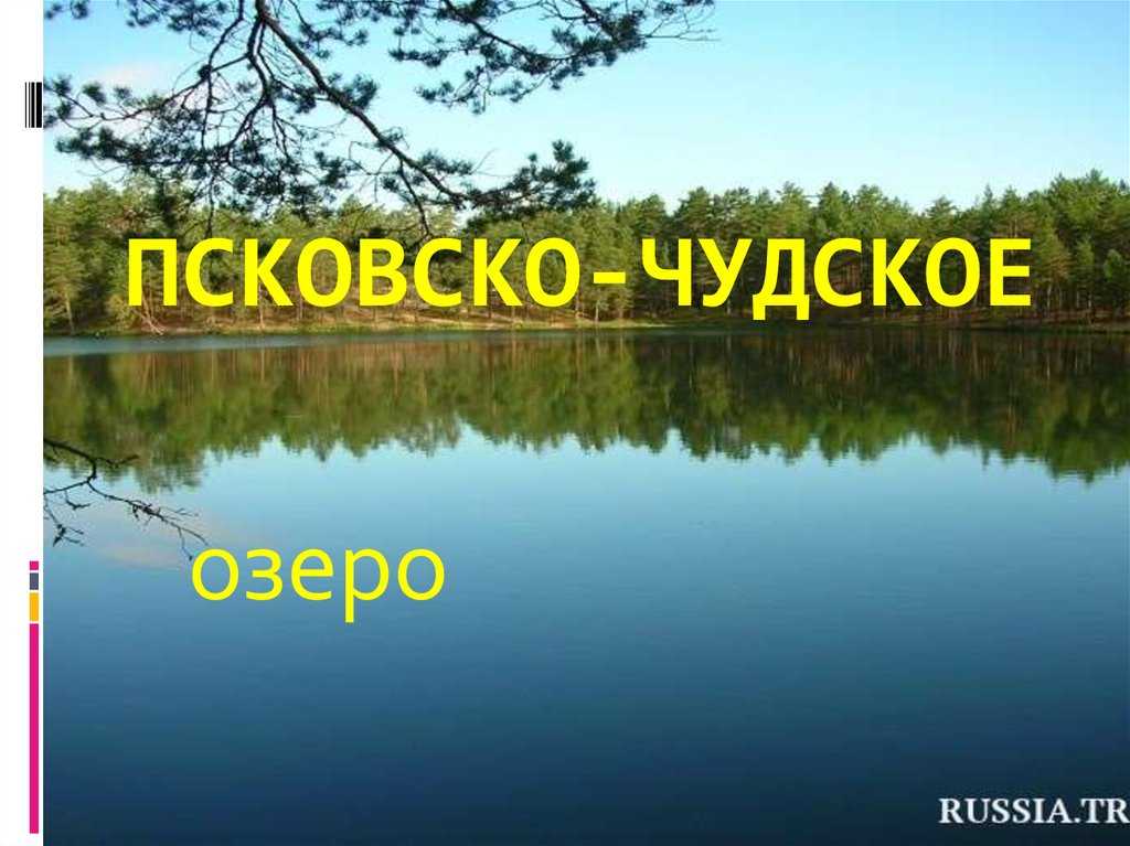 «это не для деревни самолва, а для всей россии». разбитая дорога и закрытый музей — как строился 20‑метровый памятник александру невскому на чудском озере