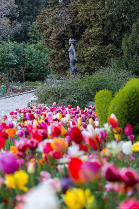 Никитский ботанический сад - красивейшее место на юбк