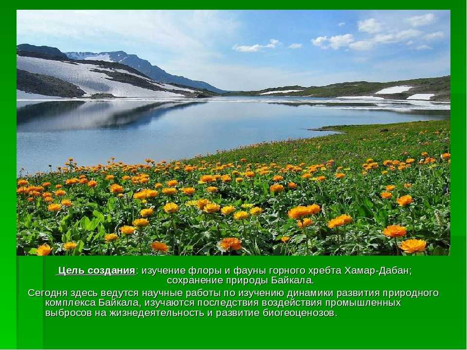 Алтайский государственный природный заповедник
