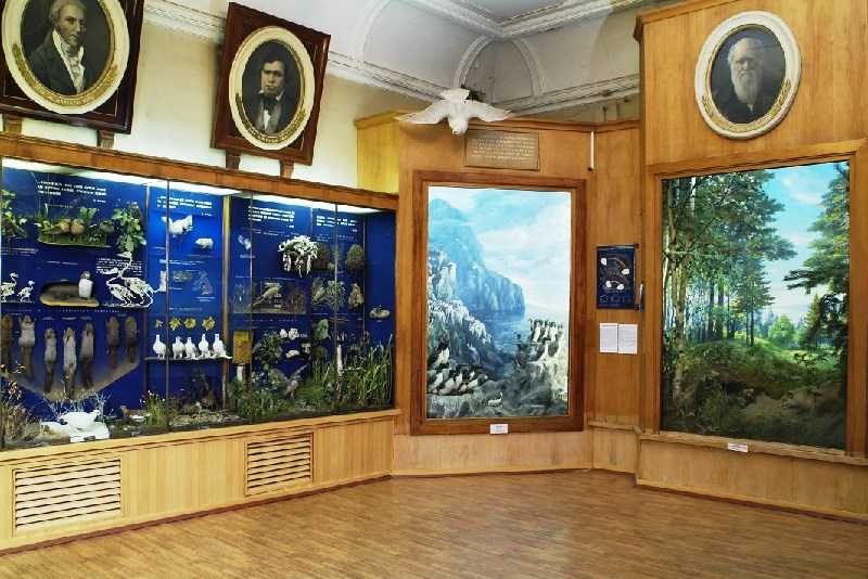 Государственный биологический музей имени к. а. тимирязева - вики