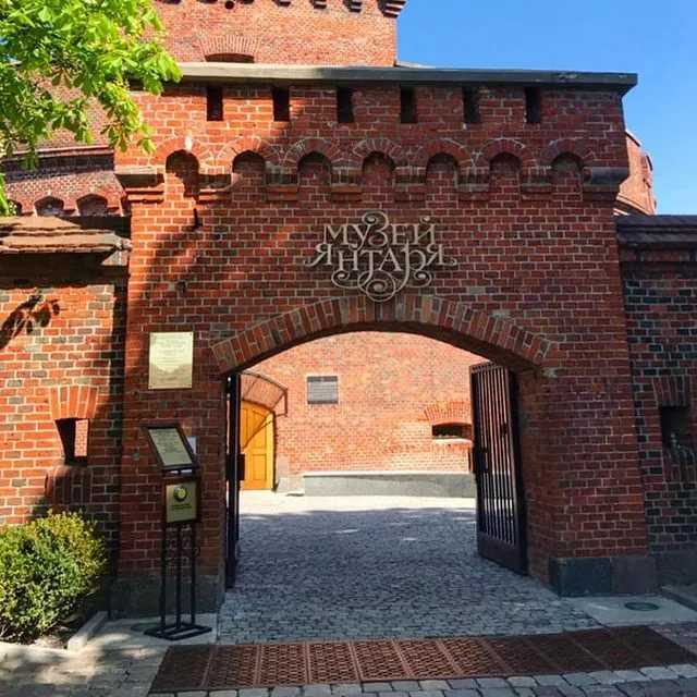 Музей янтаря калининград - история, описание музея и экспозиции