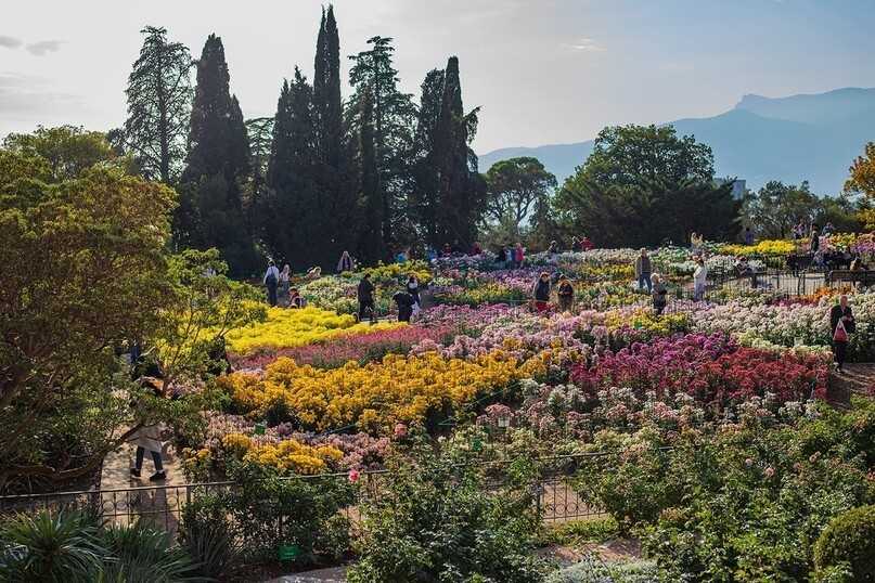 Никитский ботанический сад - фотографии растений и лишайников - плантариум