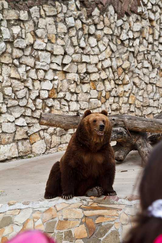 Фото Московского зоопарка в Москве, Россия Большая галерея качественных и красивых фотографий Московского зоопарка, которые Вы можете смотреть на нашем сайте