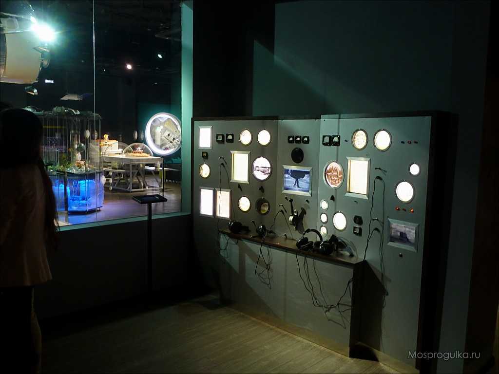 Политехнический музей на вднх: обзор, фото, видео и другое