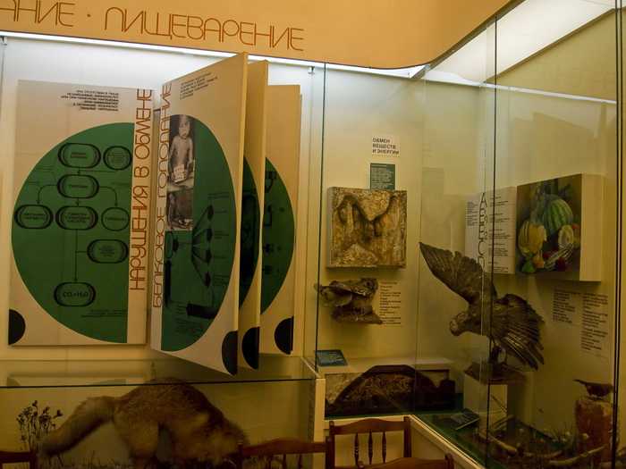 Государственный биологический музей им. к.а. тимирязева, как доехать, адрес, телефон, сайт