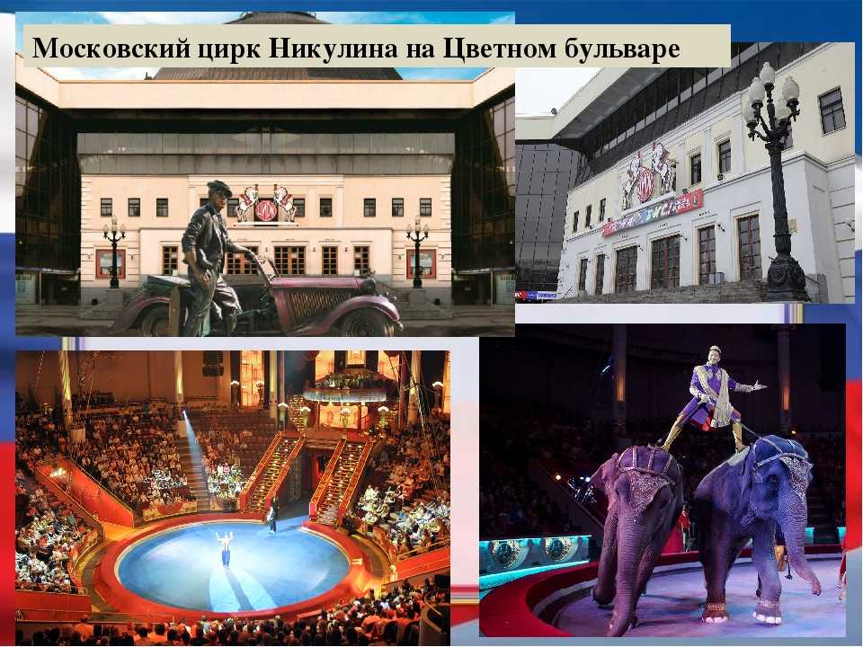 Фото цирк на цветном бульваре в москве