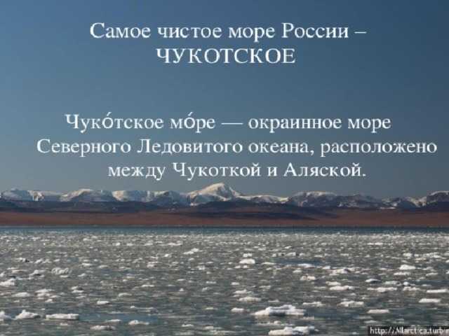 Чукотское море внутреннее или окраинное. чукотское море: соленость и температура