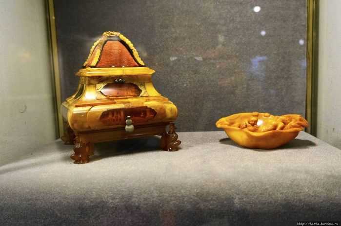 Музей янтаря в калининграде: экспонаты, фото внутри, адрес