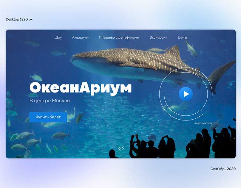 Океанариум в москве - адреса лучших мест, цены, в том числе на вднх, крокус сити и др с отзывами