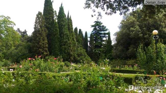 Никитский ботанический сад в крыму