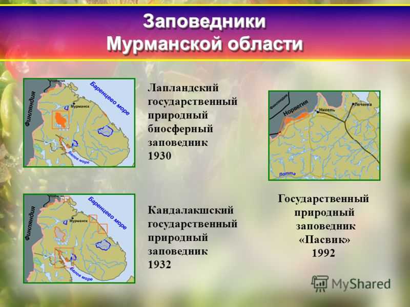Лапландский заповедник, россия — сайт, животные, фото, где находится на карте, экскурсии