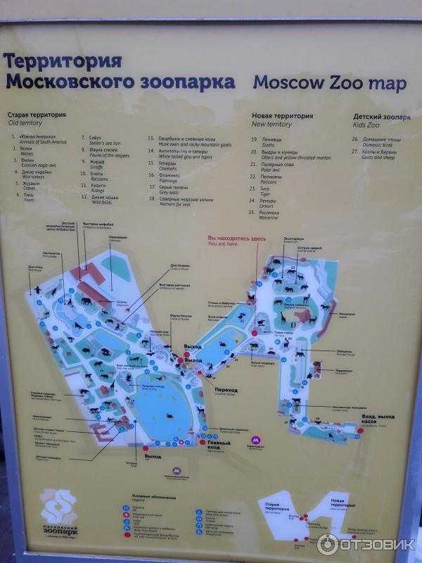 Московский зоопарк – описание, экспозиции, маршруты - метрорус