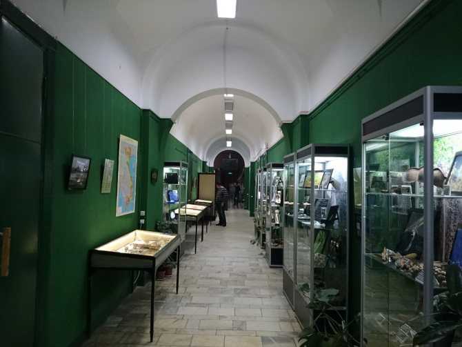 Зоологический музей московского государственного университета